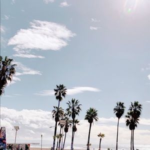 Meet your Posher, Ava